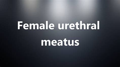 shemale urethra|Shemale Urethra Porn Videos 